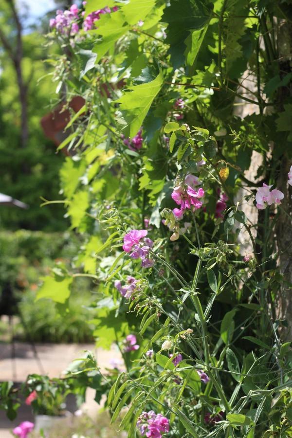 La Bussière-sur-Ouche Chez Sophie Et Benoit Bed & Breakfast エクステリア 写真